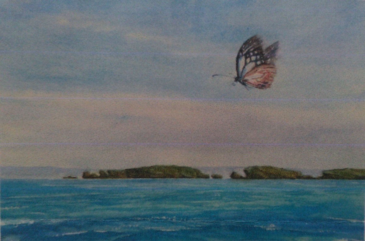 ＜バタフライ エフェクト＞「大浦湾をチョウは舞う」