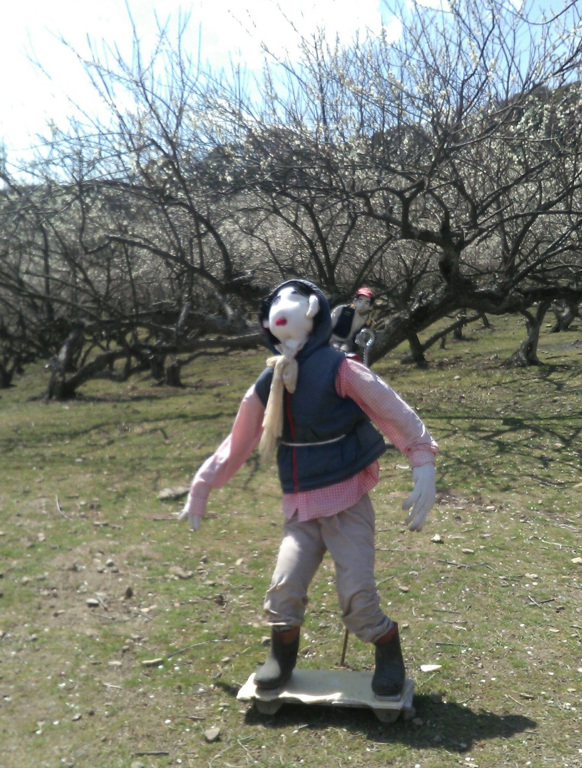 まい・しょっと